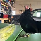 Tiny Tina says Tuesday is a great day for tasty snacks