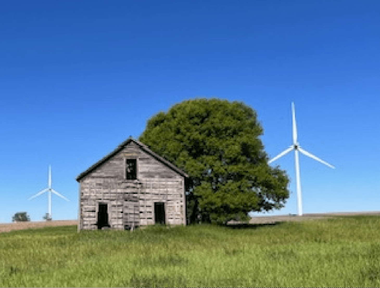 How Some People Became So Averse to Hype