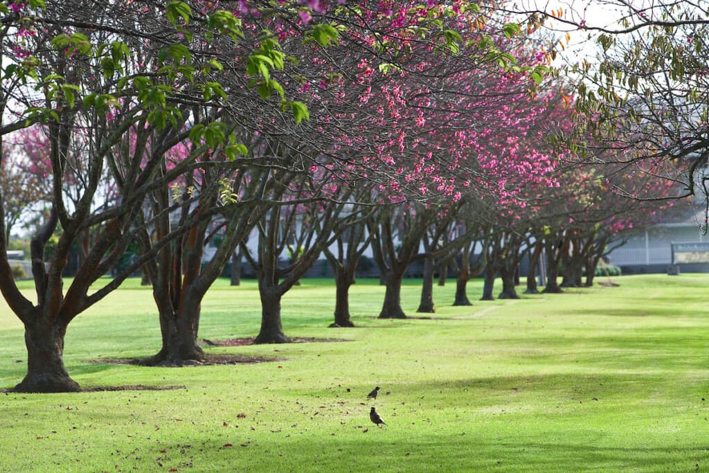 7 Things to Do in Hawaiʻi This Spring